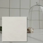 Nástěnné dlaždice Gatsby White 20x20x0,7 cm