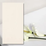Kameninové dlaždice New White Ground 60x30x1