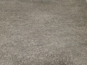 20190823_130732.jpg