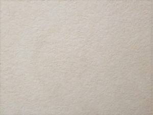 20210325_141617.jpg