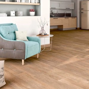 AT.Viggo Fresno 1.jpg