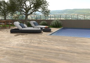 AT.Viggo Roble 2.jpg