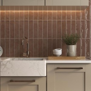 pam1900x2479 TERRA.jpg